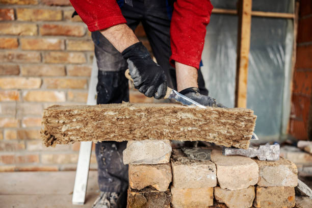 Best Energy-efficient Insulation  in Globe, AZ